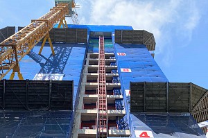 Tấm chắn vật rơi Asagao